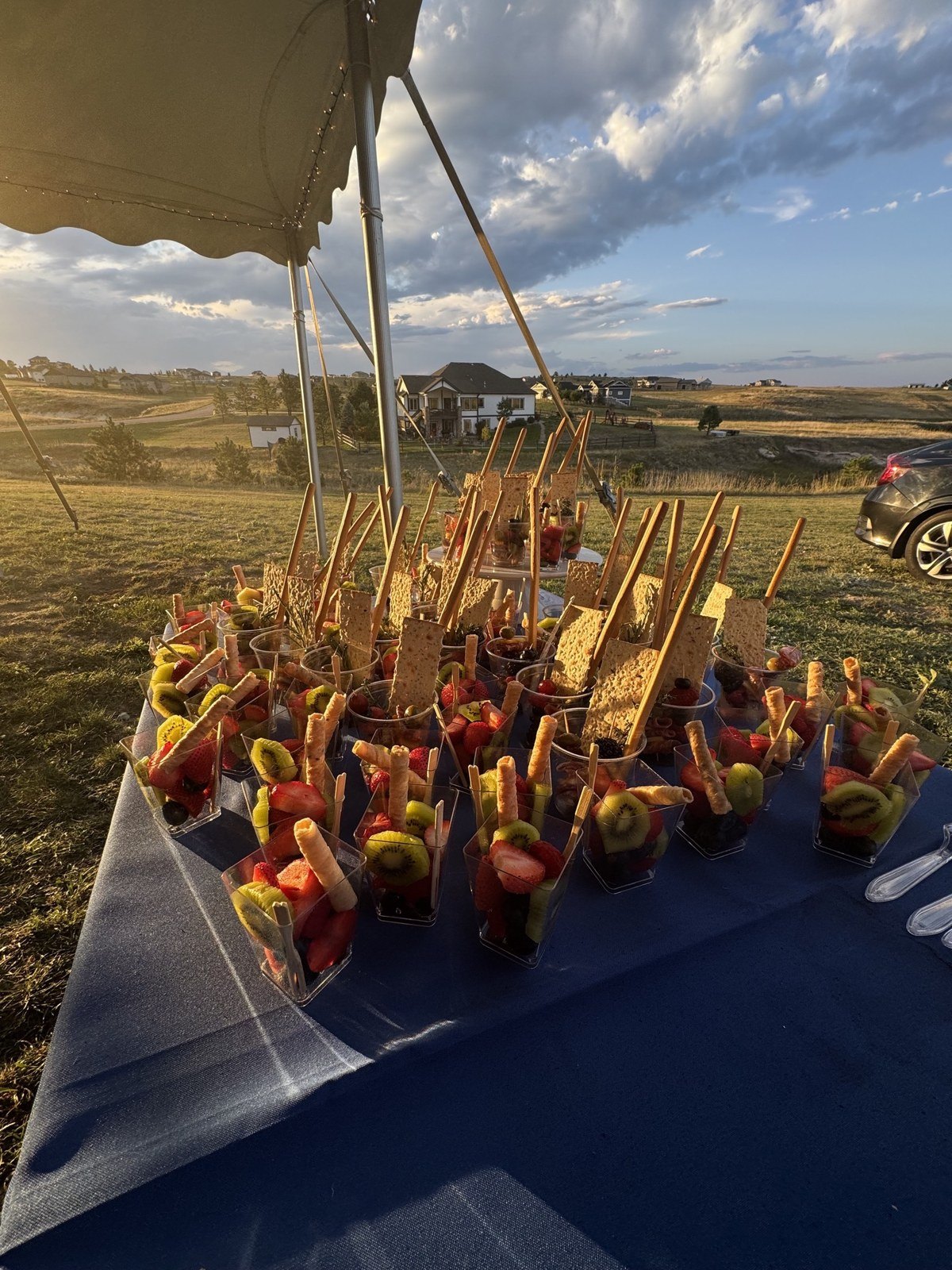 Passed skewers under a tent at an outdoor event